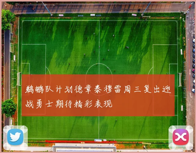 鹈鹕队计划德章泰穆雷周三复出迎战勇士期待精彩表现