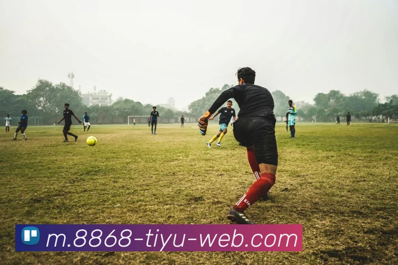 8868体育平台生态图