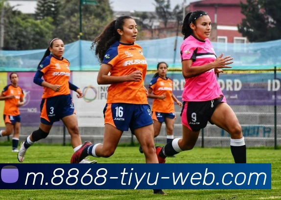 8868体育APP 封面图